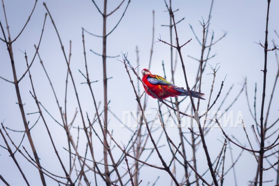 ������� � ������ ��������!