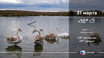 ������ ����, ��������� �������� ����������!