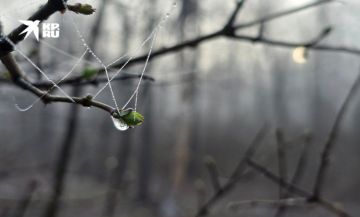 ������ � ��� 31 �����. ��������� ���� ����� � ��� ������� ���� ��-���������� ��������