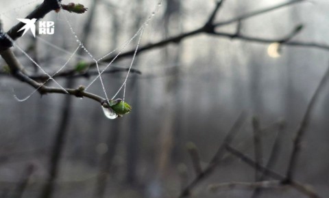 ������ � ��� 31 �����. ��������� ���� ����� � ��� ������� ���� ��-���������� ��������