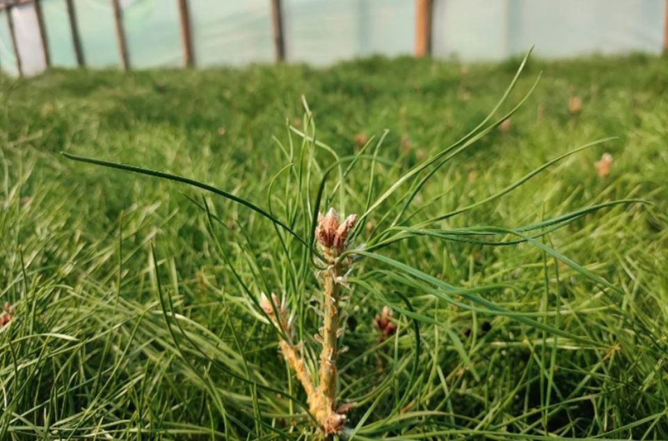 � ��� ������ �������� ����� ��������� �� �������������� ����