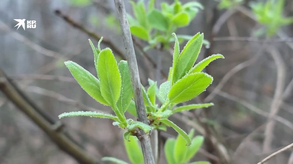 ������ ����!. ���� �� �����, ������� ������������ ��� ���� �������� ���������� ���� � �������� ������� ������