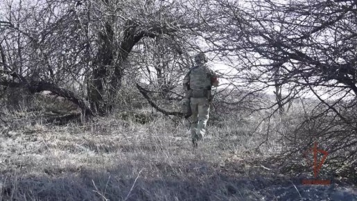 На детской площадке в ЛНР найдены боеприпасы