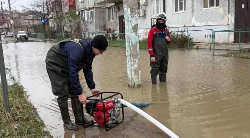 ������ ������������ ���������� ������������� ��������� ���� �������� ������������� ����������� ���������� � ���������