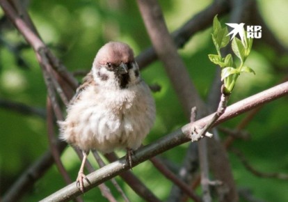 ��������� 1 ������. 1 ������ � ��� ���� �����, ������������� ���� ����, ���� ��������� ������������ ����