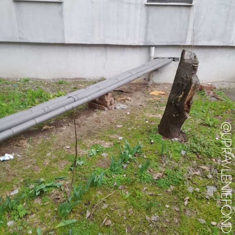 ��������� ������ �������� ������� ������ ������������� � ���� ��� �� �������� ������