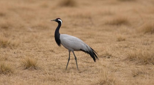 ������������� �������-��������, ������� ������ 2025 ���� ��� ������ � ������ ��������, � ��������� ����� ������� � ���������� ������ ������������ ����� ���� �������� ������