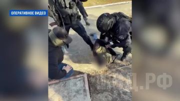 11 �� ���������� ���������� � ������������ �������� ������� ������