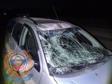 � �������� ������������ ���� ��������