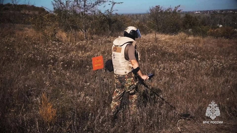 �� ����� � ��� �������� 10 �������, �������� ��� ������������