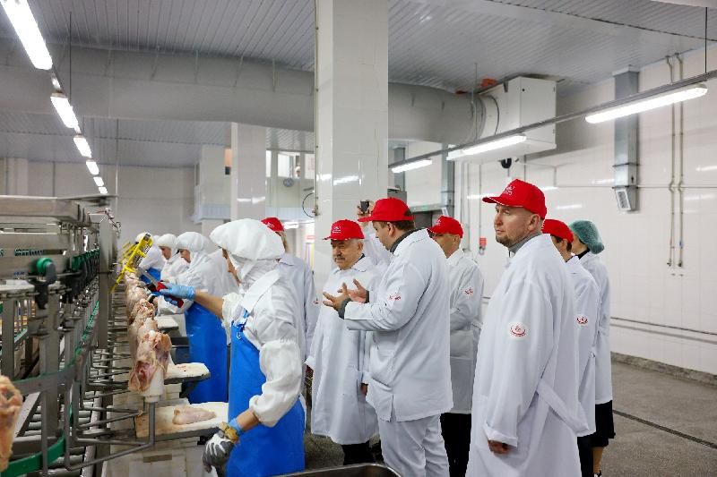 ����� ������������ � ������ ���������� �������� ��������� ������������ � ������� �������