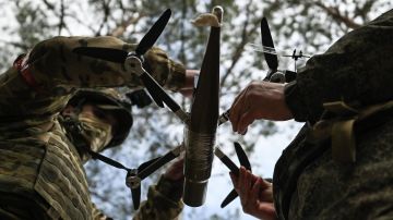 ��� �������� ����� �� ����������� �������: ��������, ����� ����, ������ ������