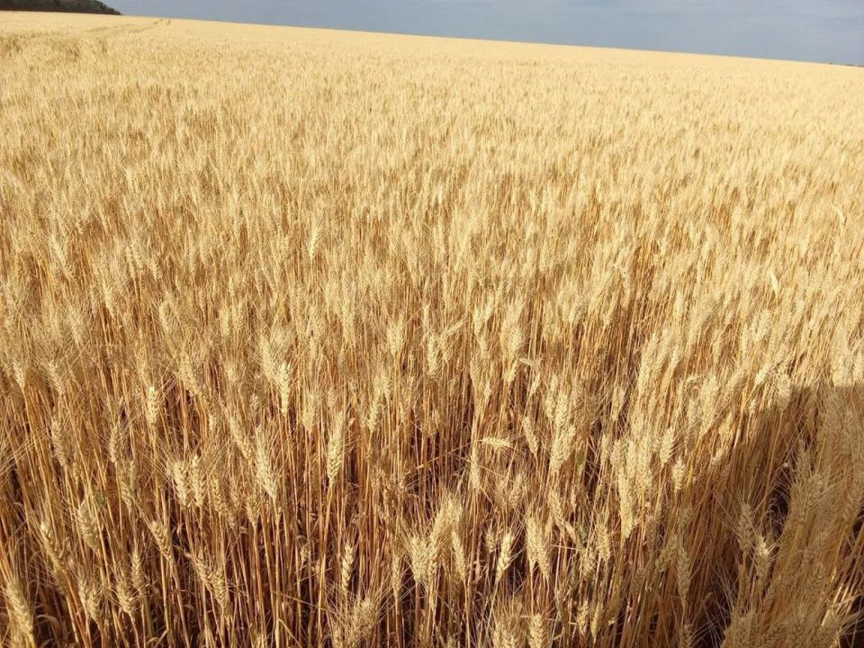 ��������� �������������� ��� ���: ���� ������������ � ����� ��������������