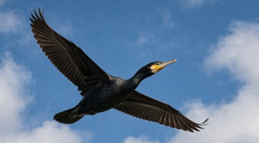 ���������� �� ��������� ���������� ��������� �������� �� ���������� ���