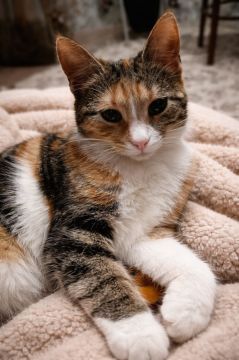 6 ������ �� ���������� ��������� �������� ���������� �������������� ���������� ����������