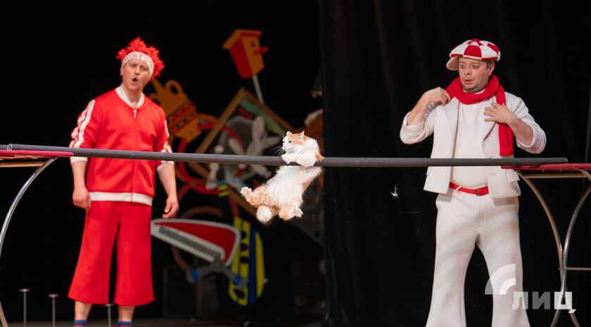 Дети участников СВО из Новоайдарского района посетили спектакль Театра кошек Куклачева