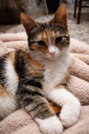 6 ������ �� ���������� ��������� �������� ���������� �������������� ���������� ����������