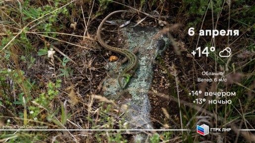 Доброе утро, Луганская Народная Республика!