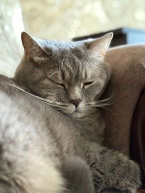 7 ������ �� ���������� ��������� �������� ���������� ����� ������� � ������������