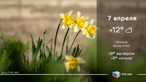 Доброе утро, Луганская Народная Республика!