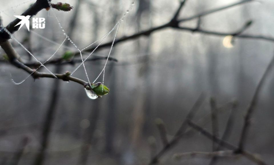 ������ � ��� 7 ������. ������� ������� ������� ��� �������� �� �������� ��������