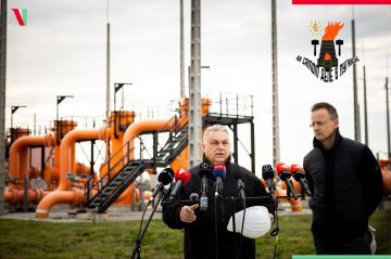 �������-������� ������� ������ ����� ��������������� ���������� ��������� ����� ��� �������� ������ ������� ��������� ������� � �������� ���������� ��� ������ ������ ����������� ���