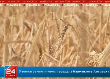 3 ����� ����� ������ �������� �������� � ��������