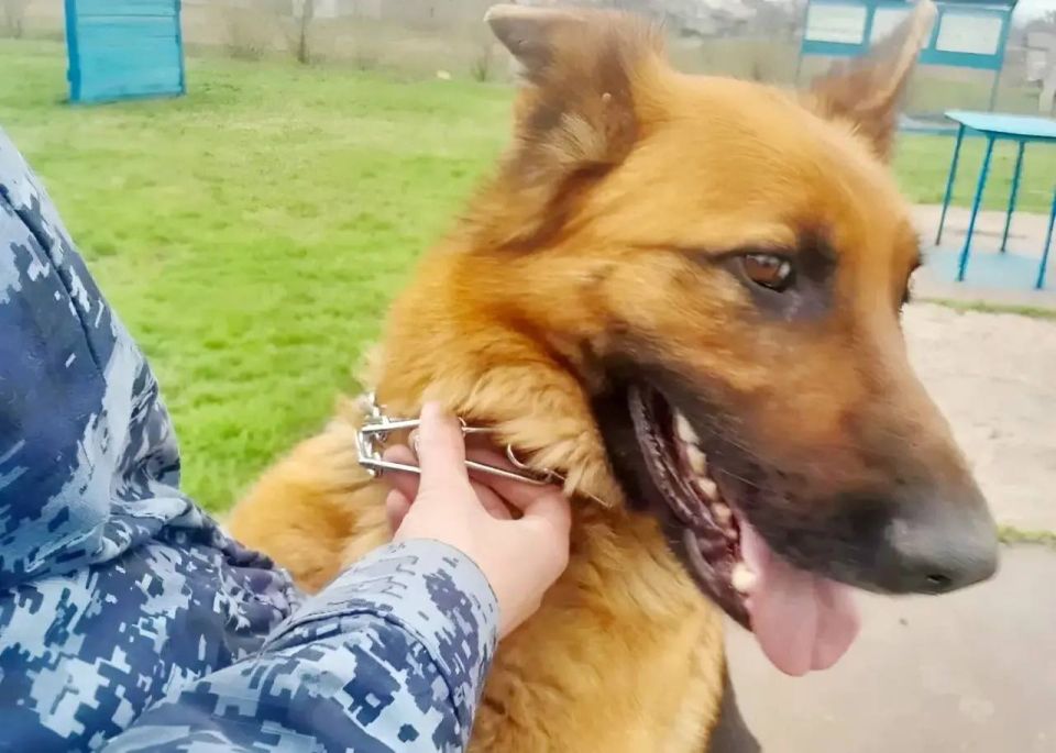 ���������� ��-3 ����� ������ �� ��������� �������� ���������� ������� ���������� � ������ ����������, ����������� ������������� ������