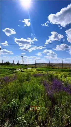 Доброе утро, Луганск!. Утро