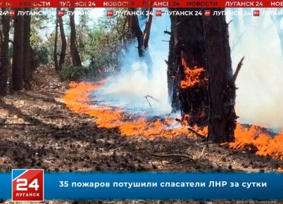 35 пожаров потушили спасатели ЛНР за сутки