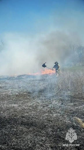 В ЛНР бушуют ландшафтные пожары