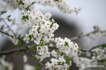 Погода на новых территориях России