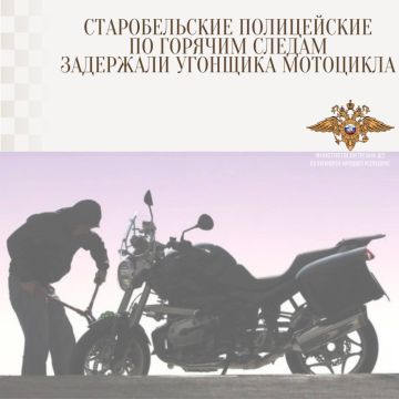 1111������������� ����������� �� ������� ������ ��������� �������� ���������