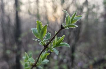 ����� � ����� 9 ������ � ��� �������� ��������� �� -3 ��������