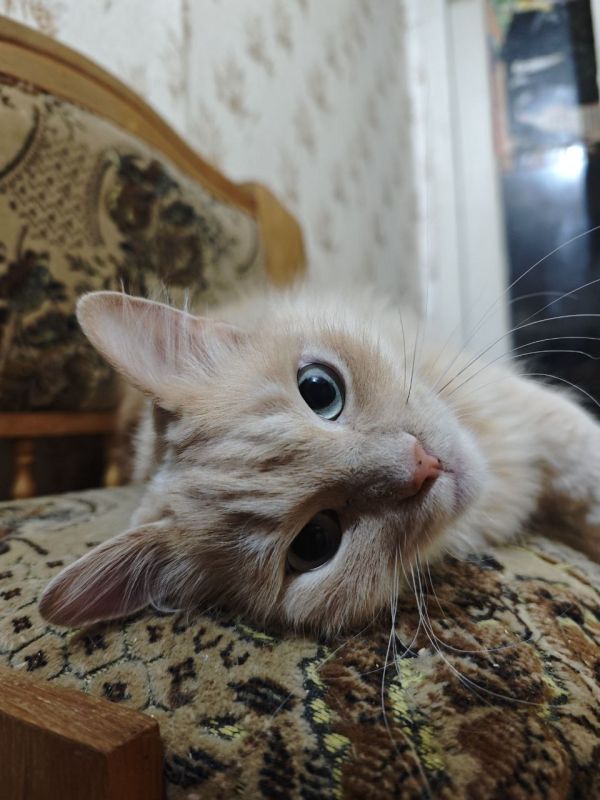 9 ������ �� ���������� ��������� �������� ���������� �������������� ���������� ����������