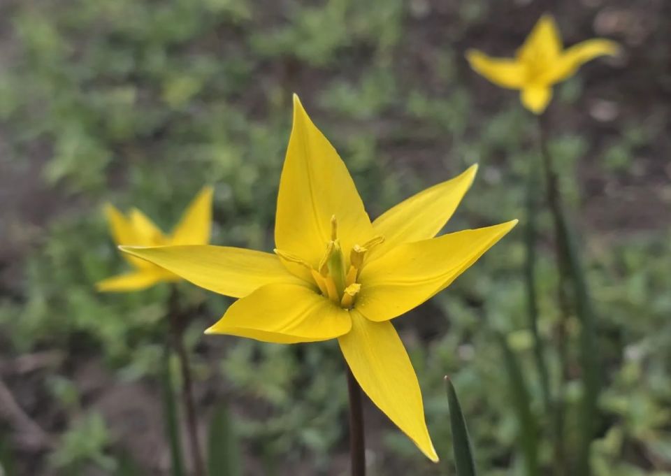 ������������� ������ � ��� �� ���������� ��� ������� ������