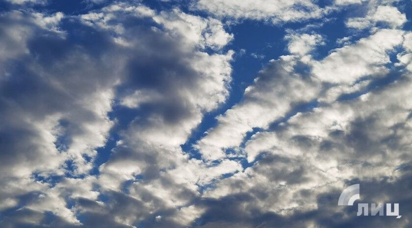 ��������� ������������ 9 ������ � ��� �� 13 �������� �����, ����� ���������