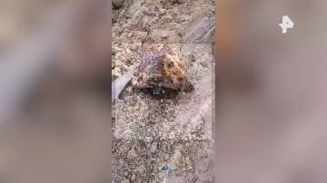 ������� 30 ������, �������� � ���� ������� ������������� �����, ���������� � ����������