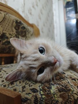 9 ������ �� ���������� ��������� �������� ���������� �������������� ���������� ����������