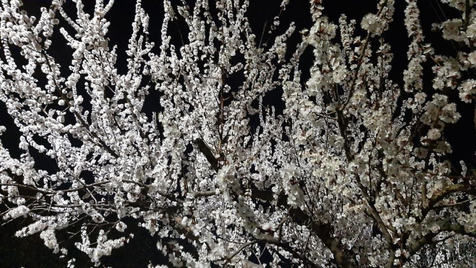 ������� ������������� �� ����� �����������