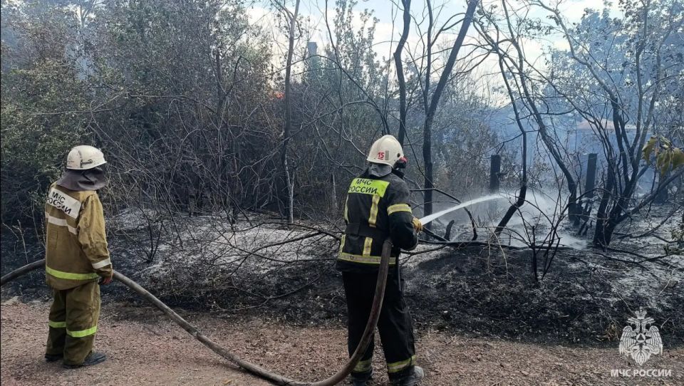 �� ����� � ��� ������������� 8 �������