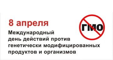 Наталия Пащенко: 8 апреля – Международный день действий против ГМО: осознанный выбор – залог здоровья