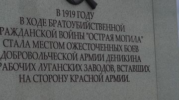 Доброе утро, Луганск!. Весенний день — как новый лист