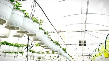 �������� � ��� ����� ���������. � ������ ������� �� ����� �������� �������� ������������ �������� ���������� ����, ������������� � ��������� ���� ���������, ���������� ����� 200 ������ � ����� ����������� �������� ���...