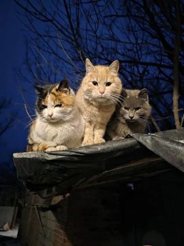 10 апреля на территории Луганской Народной Республики прогнозируется переменная облачность