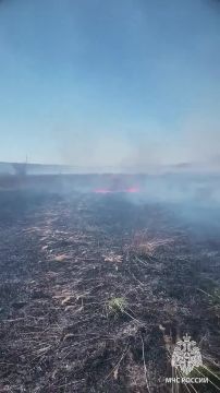 5 пожаров в экосистеме за сутки потушили в ЛНР спасатели