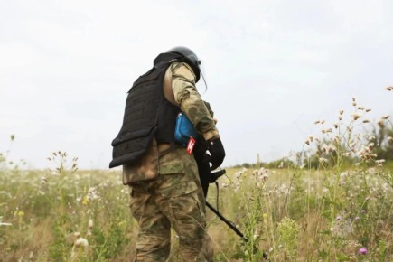 �� ����� � ��� ������������� 11 �������