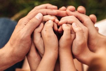 � ��� ��������� ������������ ���� �������������� �������� ������ ����