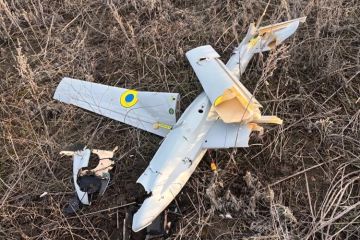 ������������ � ������ 2026 ���� ���������� ����� 80 ��������� ���� � ���