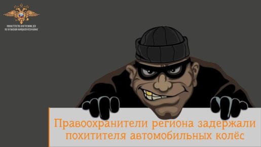1111Правоохранители региона задержали похитителя автомобильных колёс